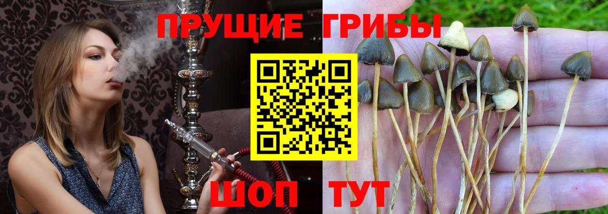 Реж  Галлюциногенные грибы Magic Shrooms  Вход с VPN 